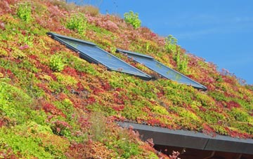 Knapwell living roof systems