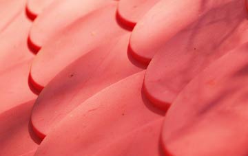 Knapwell plastic roof costs